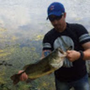 Meet your Posher, Timothy